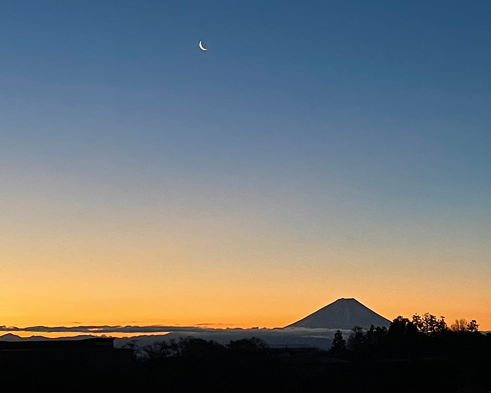 能登半島地震について
