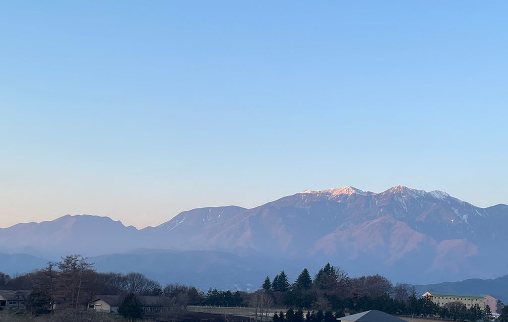 3/28-4/1 発送お休みのお知らせ